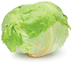 Cabbage. - Copyright – Stock Photo / Register Mark