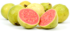 Guava. - Copyright – Stock Photo / Register Mark