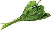 Spinach - Copyright – Stock Photo / Register Mark