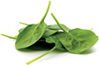 spinach - Copyright – Stock Photo / Register Mark