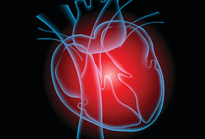 heart health - Copyright – Stock Photo / Register Mark