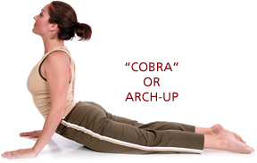 cobra or arch-up - Copyright – Stock Photo / Register Mark