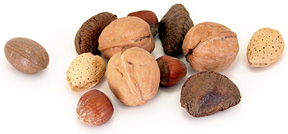 nuts - Copyright – Stock Photo / Register Mark