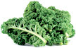 Kale - Copyright – Stock Photo / Register Mark