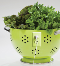 Salad green with outlet - Copyright – Stock Photo / Register Mark
