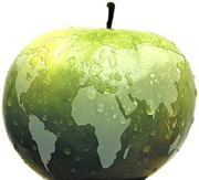 A green apple made to look like the Earth. - Copyright – Stock Photo / Register Mark