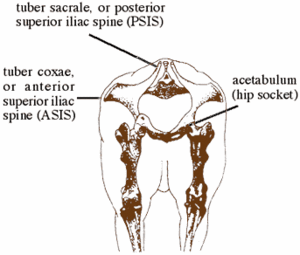 cure for strained sacrotuberous ligament