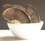 A bowl of mushrooms. - Copyright – Stock Photo / Register Mark