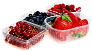 organic berries