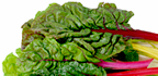 Swiss chard. - Copyright – Stock Photo / Register Mark