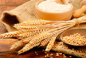 grains - Copyright – Stock Photo / Register Mark