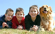 Three young boys with their golden retriever. - Copyright – Stock Photo / Register Mark