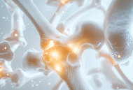 bone health - Copyright – Stock Photo / Register Mark
