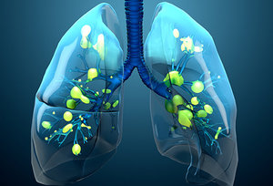 respiratory system - Copyright – Stock Photo / Register Mark