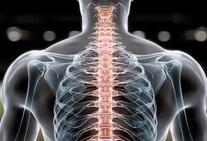 Don't Put Your Spine at Risk - Copyright – Stock Photo / Register Mark
