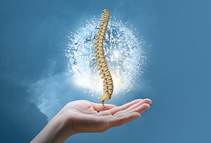 spine care - Copyright – Stock Photo / Register Mark