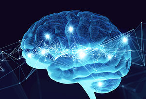 brain - Copyright – Stock Photo / Register Mark