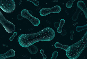 microbiome - Copyright – Stock Photo / Register Mark