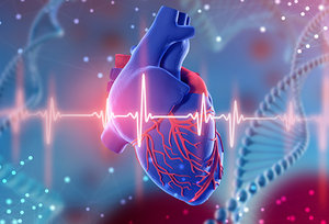 heart health - Copyright – Stock Photo / Register Mark