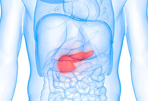 pancrea - Copyright – Stock Photo / Register Mark