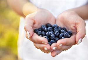 blueberries - Copyright – Stock Photo / Register Mark