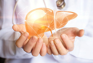 liver - Copyright – Stock Photo / Register Mark