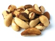 Pile of Brazil nuts. - Copyright – Stock Photo / Register Mark