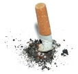 Crushed out cigarette. - Copyright – Stock Photo / Register Mark