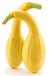 Yellow squash. - Copyright – Stock Photo / Register Mark