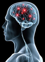 Brain Pulses - Copyright – Stock Photo / Register Mark