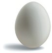 A chicken egg. - Copyright – Stock Photo / Register Mark