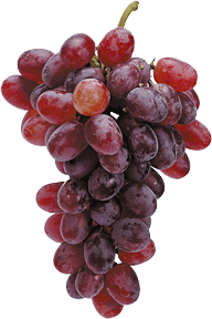 grapes - Copyright – Stock Photo / Register Mark