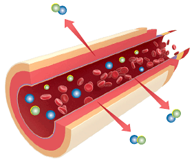 Normal Blood Glucose Response - Copyright – Stock Photo / Register Mark