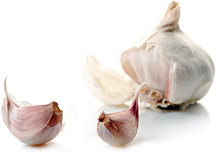 garlics - Copyright – Stock Photo / Register Mark