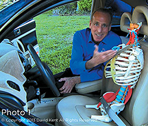 seat belt safety - Copyright – Stock Photo / Register Mark