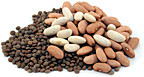mixed beans - Copyright – Stock Photo / Register Mark