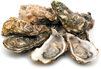 oysters - Copyright – Stock Photo / Register Mark