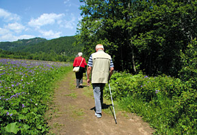 old couple walking - Copyright – Stock Photo / Register Mark