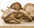 A pile of mushrooms. - Copyright – Stock Photo / Register Mark