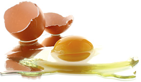 Egg yoke and shells