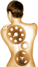 Rehab - Back - Copyright – Stock Photo / Register Mark