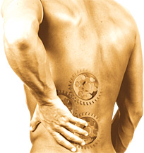 Rehab - Lower Back - Copyright – Stock Photo / Register Mark