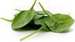 Spinach - Copyright – Stock Photo / Register Mark