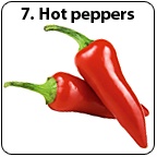 Two red hot peppers. - Copyright – Stock Photo / Register Mark