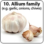 A bulb of garlic beside to cloves. - Copyright – Stock Photo / Register Mark