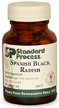 Spanish Black Radish Helps Detoxify by Standard Process - Copyright – Stock Photo / Register Mark